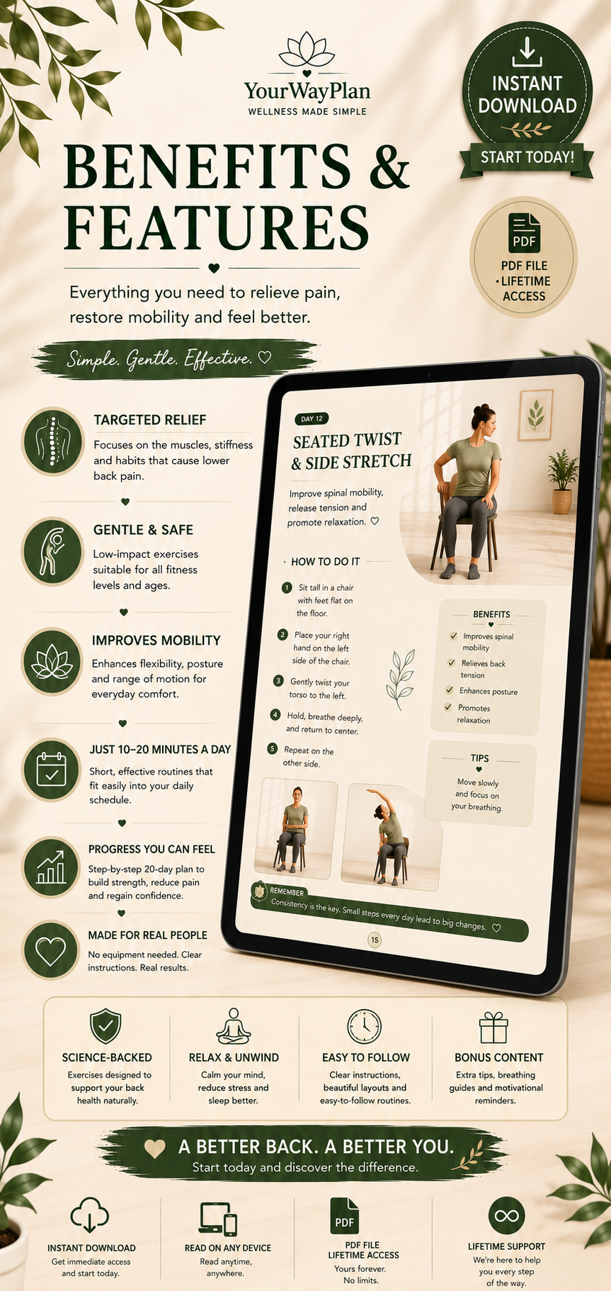 Lower Back Pain Relief | Gentle Daily Exercises for Lasting Relief